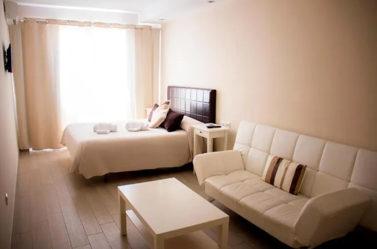 General view of the room where you can see the double bed and the living area